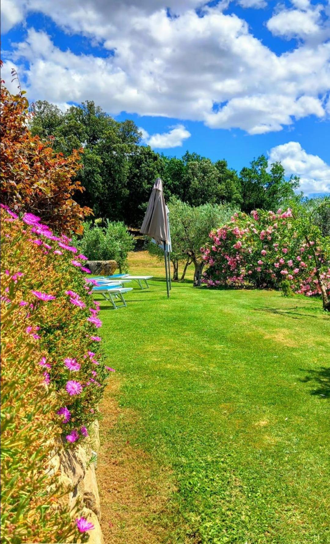 Vila Casolare Il Moro Monte San Savino Exteriér fotografie